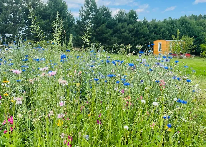 Designovy Tiny House Stare Krecany